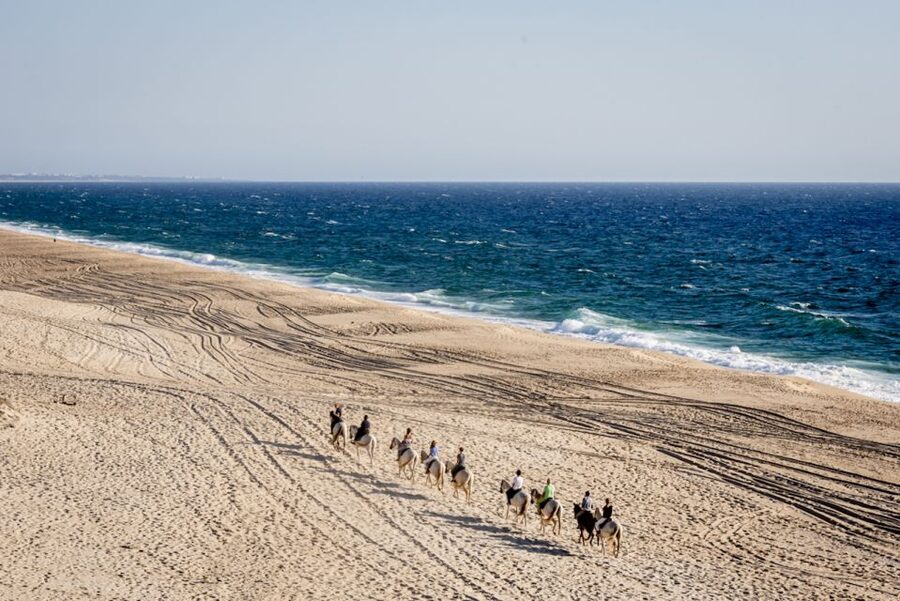 Melides: Horse Riding on the Beach with Wine Tasting - Passing Near the Freshwater Lagoon