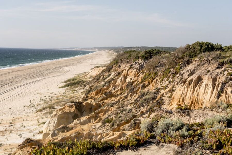 Melides: Horse Riding on the Beach with Wine Tasting - Private Groups and the Feel of the Ride