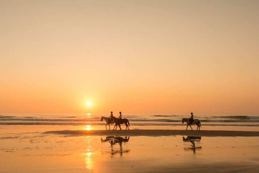 Melides: Horse Riding on the Beach with Wine Tasting - Crossing Melides Dunes and Coastal Plant Life