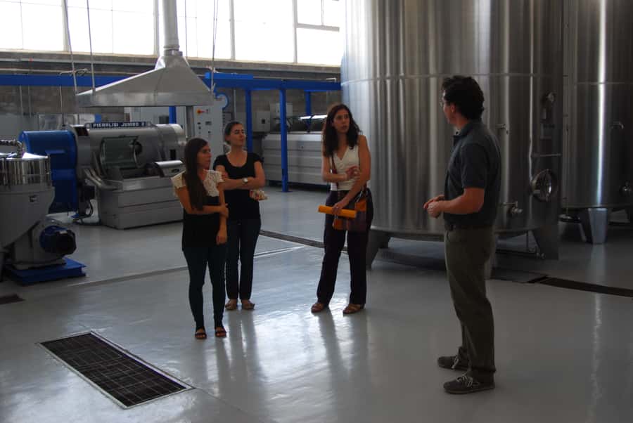 Mendoza: Full Day Wine Tour with 3 Course Lunch - FAQ
