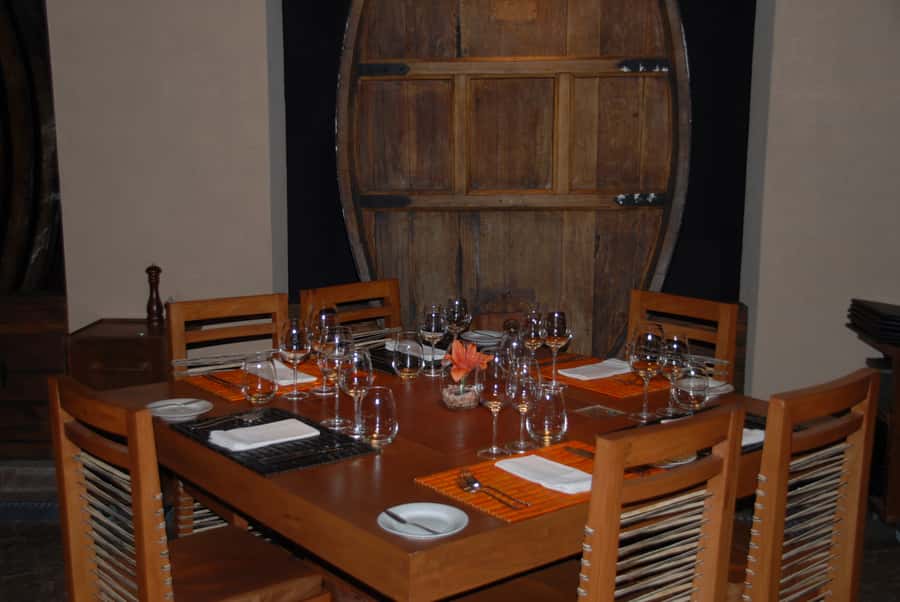 Mendoza: Full Day Wine Tour with 3 Course Lunch - Lunch among vines and mountain views