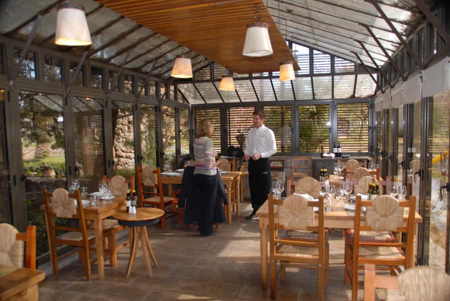 Mendoza: Full Day Wine Tour with 3 Course Lunch - What the $153 price really covers