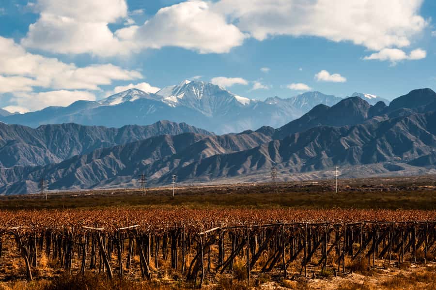 Mendoza: Full Day Wine Tour with 3 Course Lunch - Your pickup and the road out of Mendoza