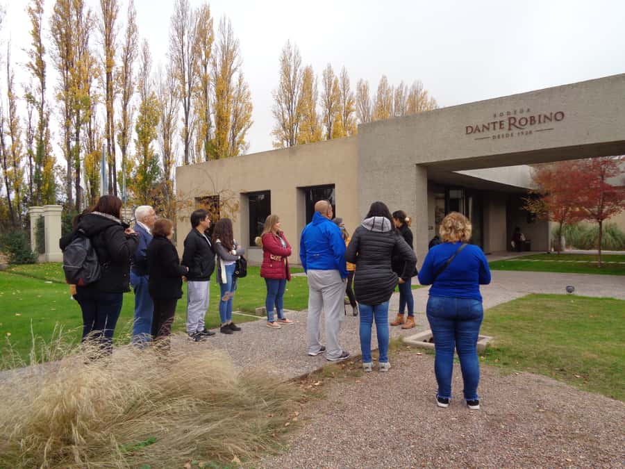 Mendoza: Half-Day Wine Tour with Tastings - Key points to know before booking