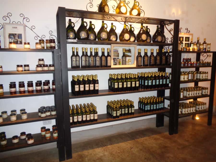 Mendoza: Half-Day Wine Tour with Tastings - First winery: learning the path from grape to bottle