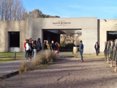 Half-Day Wine Tour with Tastings