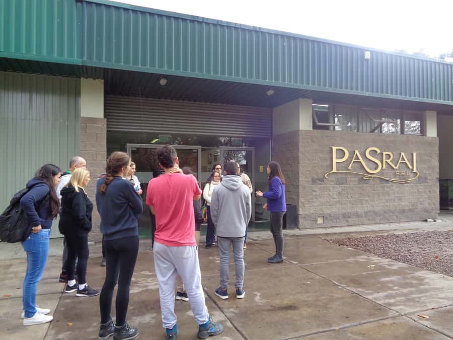 Mendoza: Half-Day Wine Tour with Tastings - The olive oil stop at Pasrai or Laur