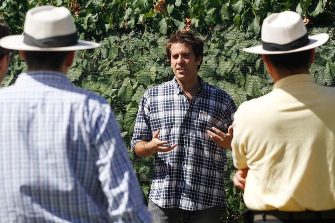 Mendoza Hop-On Hop-Off Wine Tour - Picking between Maipú, El Sol, Luján, and Uco Valley
