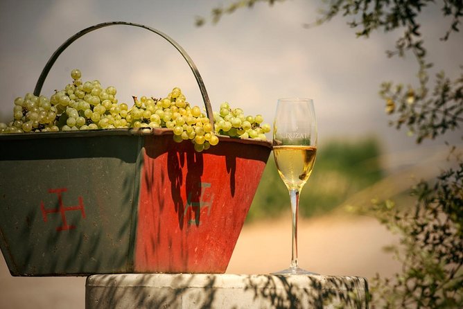 Mendoza Hop-On Hop-Off Wine Tour - What a half-day ticket changes