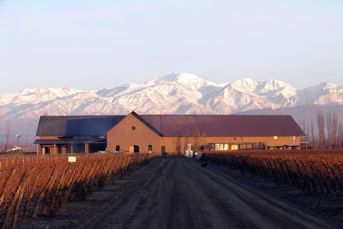 Mendoza Hop-On Hop-Off Wine Tour - Winery choices are not always yours alone
