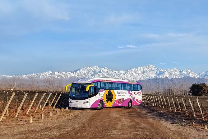 Mendoza Hop-On Hop-Off Wine Tour - The real issue is timing