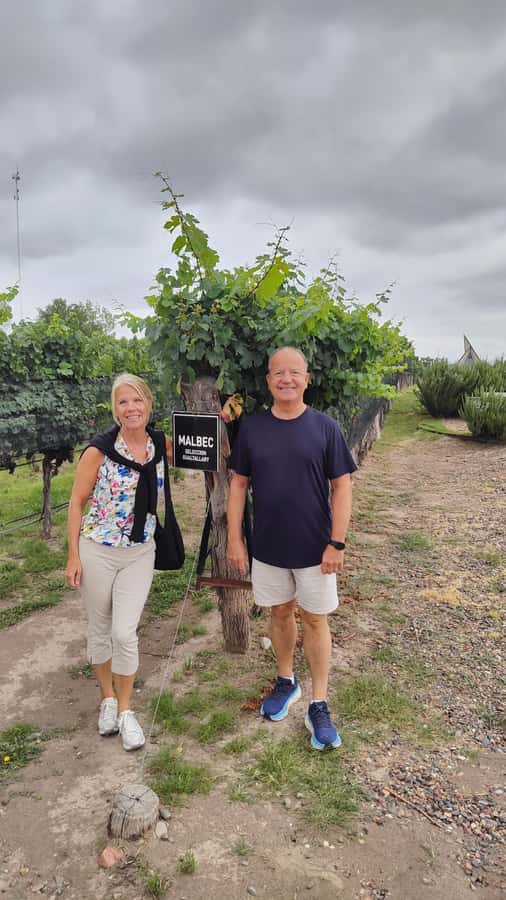Mendoza: Top Wineries Guided Tour with Transportation - Three Mendoza wineries, three different ways to drink wine