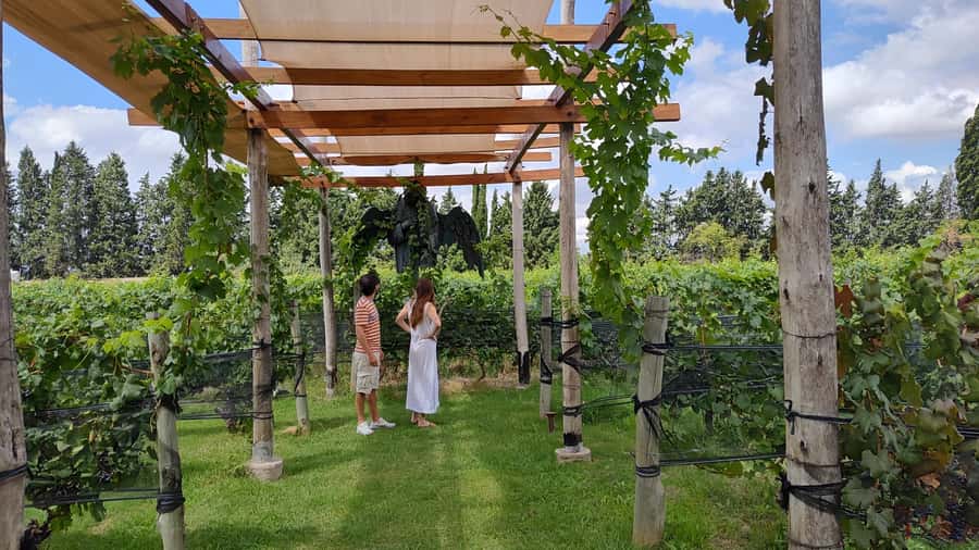 Mendoza: Top Wineries Guided Tour with Transportation - What the nine-hour day looks like