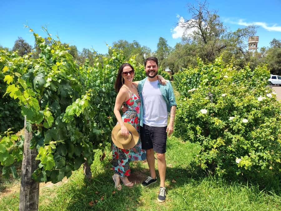 Mendoza: Top Wineries Guided Tour with Transportation - Guides, vehicles, and the value of local planning