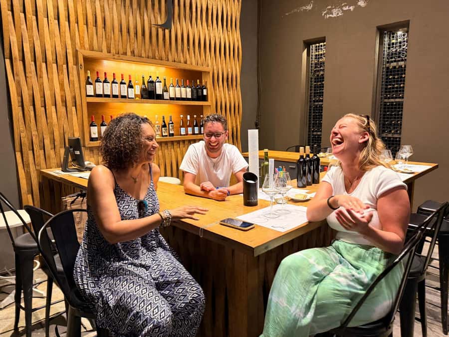 Mendoza: Top Wineries Guided Tour with Transportation - Who should book this Mendoza wine tour
