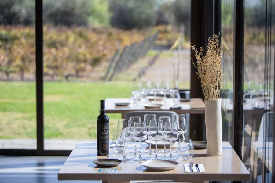 Mendoza: Wine Tasting Tour with Lunch and Private Transport - Key points before you book