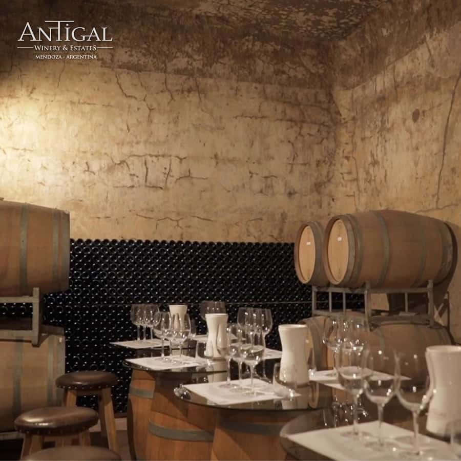 Mendoza: Wine Tasting Tour with Lunch and Private Transport - A private day through Mendoza’s wine country