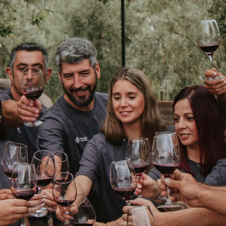 Mendoza: Wine Tasting Tour with Lunch and Private Transport - The second tasting: more focused wine education