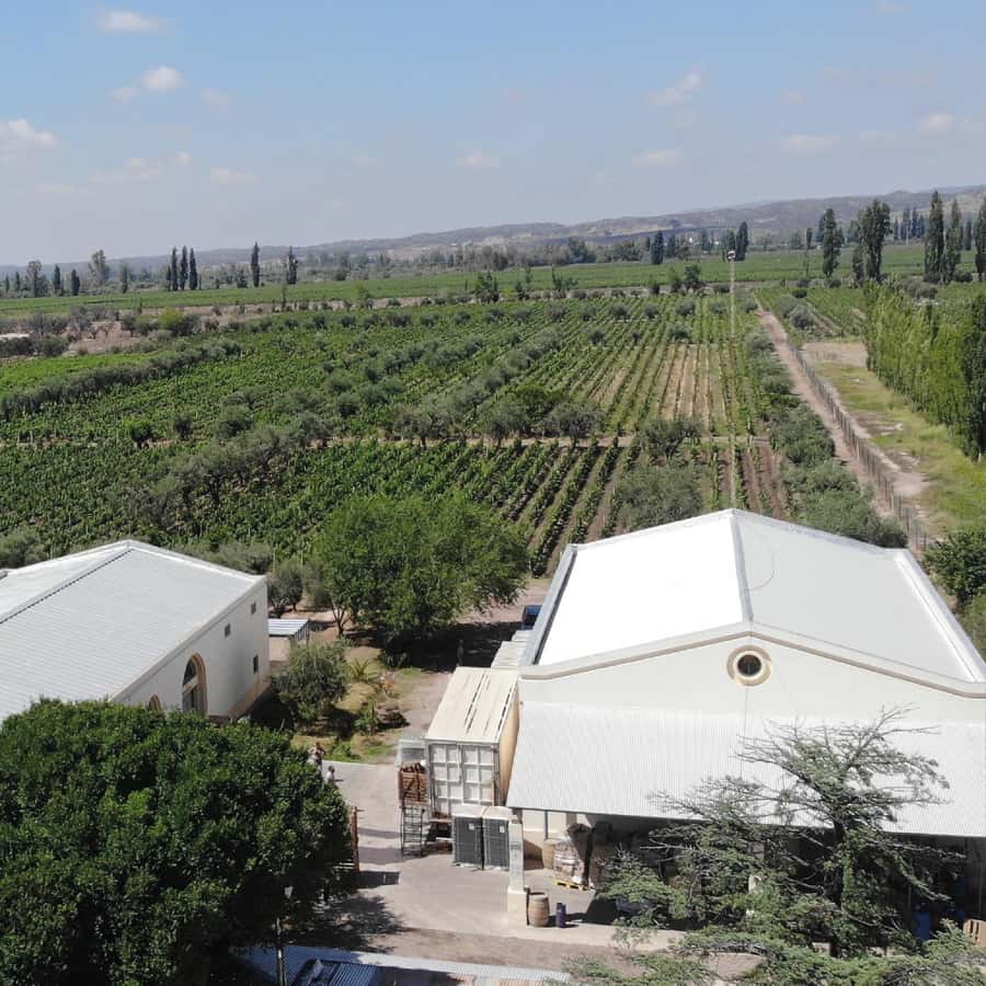 Mendoza: Wine Tasting Tour with Lunch and Private Transport - Lunch at Antigal, Tempus Alba, or Hacienda del Plata