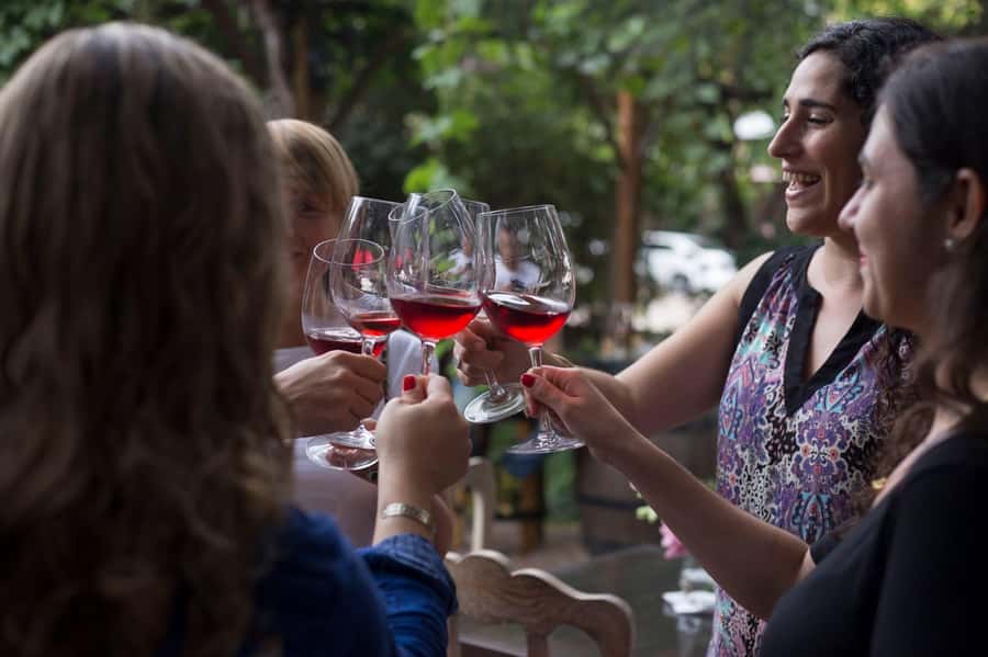 Mendoza: Wine Tasting Tour with Lunch and Private Transport - How the schedule usually feels