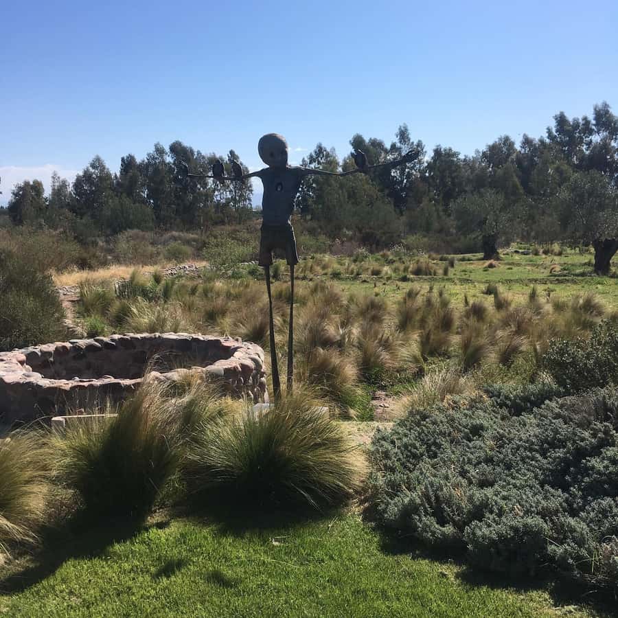 Mendoza: Wine Tasting Tour with Lunch and Private Transport - What the $220 price buys you