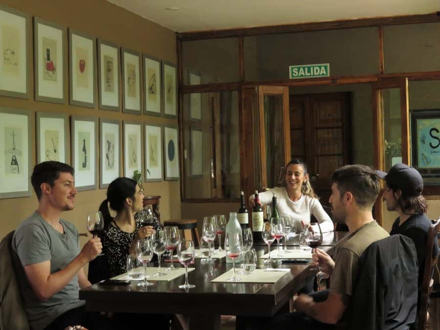 Mendoza: Wine Tasting Tour with Lunch and Private Transport - The first tasting: from working winery to old equipment