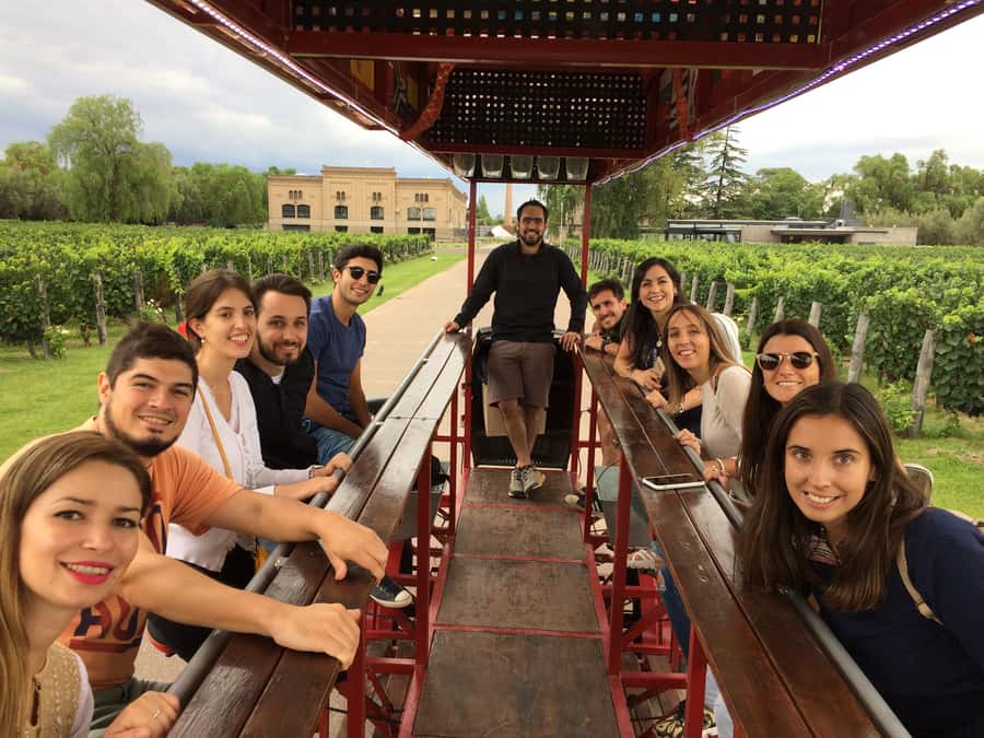 Mendoza: Winebike Tasting Tour with Optional Lunch - La Melessca and the olive oil tasting