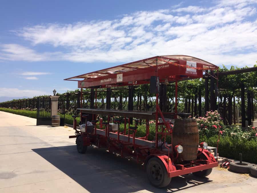 Mendoza: Winebike Tasting Tour with Optional Lunch - Pedaling through the vineyards on a multi-bike