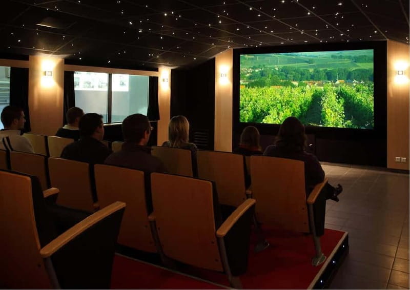 Meunier Champagne Experience tour - Passy-Grigny - Why Meunier makes this tour different