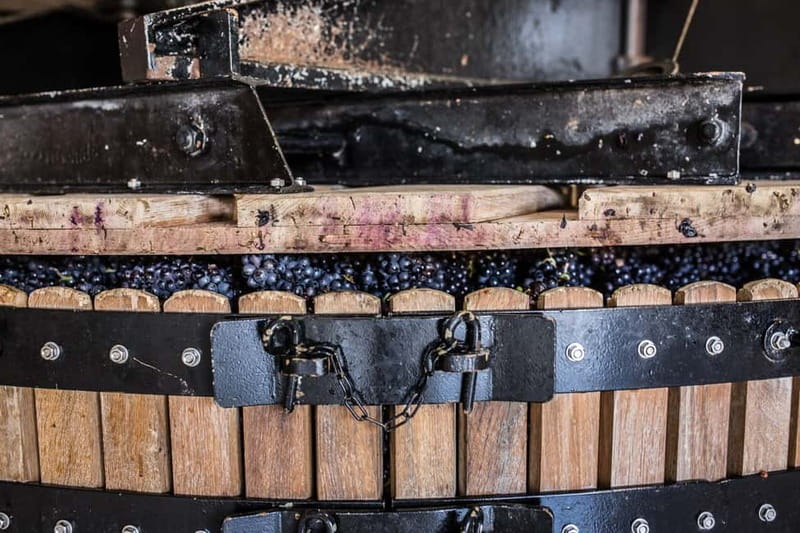 Meunier Champagne Experience tour - Passy-Grigny - Starting at Champagne Dom Caudron in Passy-Grigny