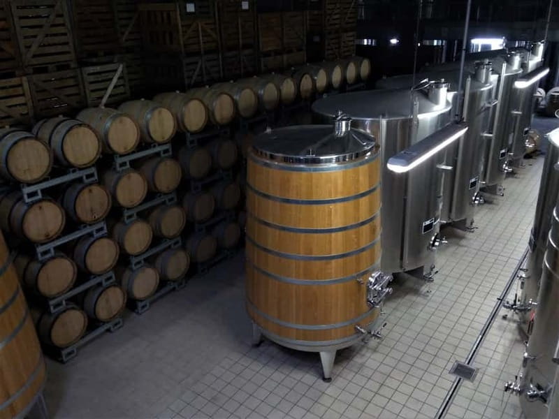 Meunier Champagne Experience tour - Passy-Grigny - The three-Meunier tasting