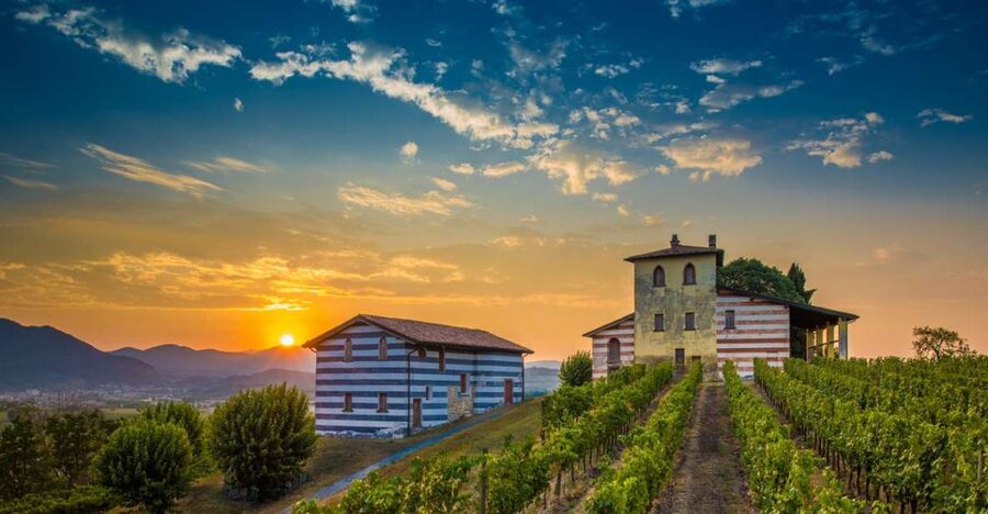 Milan: Franciacorta Winery and Bergamo Day Trip with Lunch - Who will enjoy this day most?