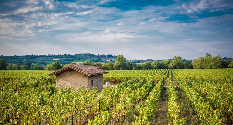Milan: Franciacorta Winery and Bergamo Day Trip with Lunch - A full day beyond Milan’s city center