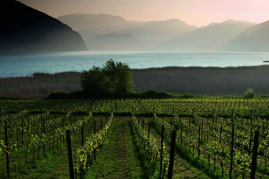 Milan: Franciacorta Winery and Bergamo Day Trip with Lunch - How the day is paced