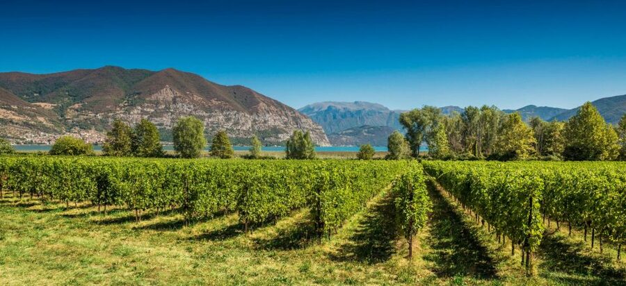 Milan: Franciacorta Winery and Bergamo Day Trip with Lunch - What the guide adds to the experience