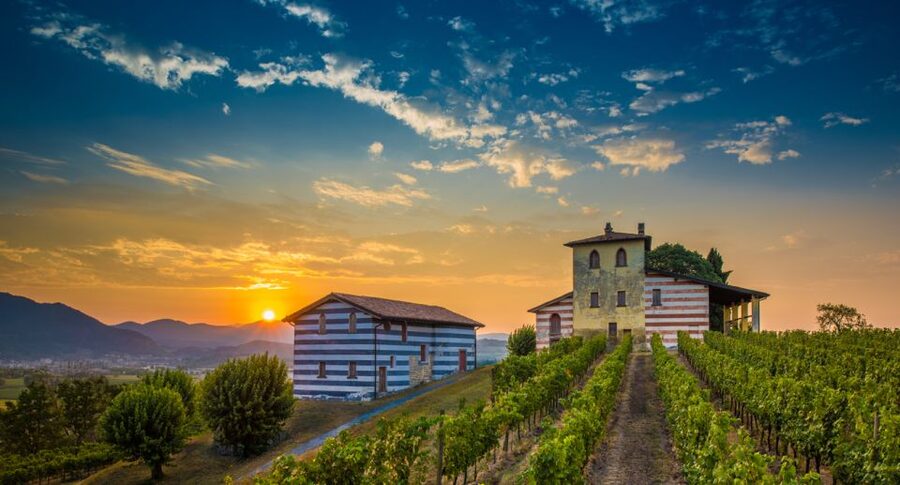 Milan: Franciacorta Winery and Bergamo Day Trip with Lunch - Starting at Bignami and leaving Milan behind