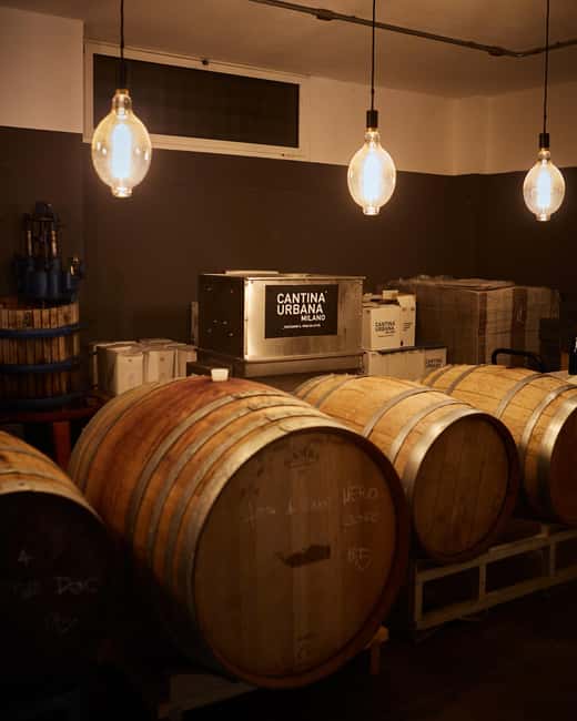 Milan Urban Winery: Taste & Tour at Cantina Urbana - Six glasses and a local food plate