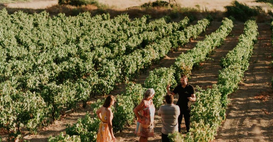 Milos Island: Kostantakis Winery Wine Tasting Experience - Getting to Kostantakis Winery in Pollonia