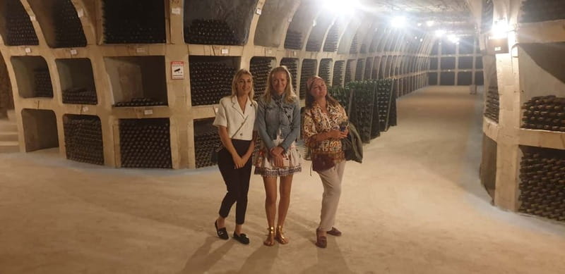 Moldova: Wine Tour to Mileștii Mici Cellar with Tasting - The 30 Minute Ride From Chișinău