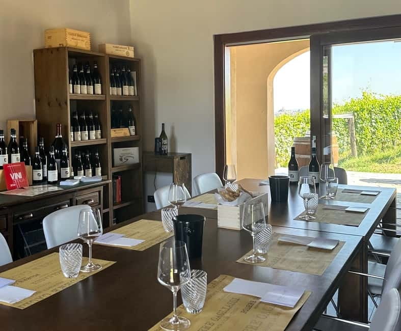 Monforte d'Alba: Wine Tasting, Cellar Visit, and Vineyard Tour - Key points at a glance
