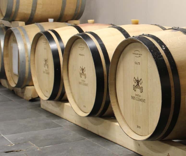 Monforte d'Alba: Wine Tasting, Cellar Visit, and Vineyard Tour - Walking through 19 hectares of organic vines