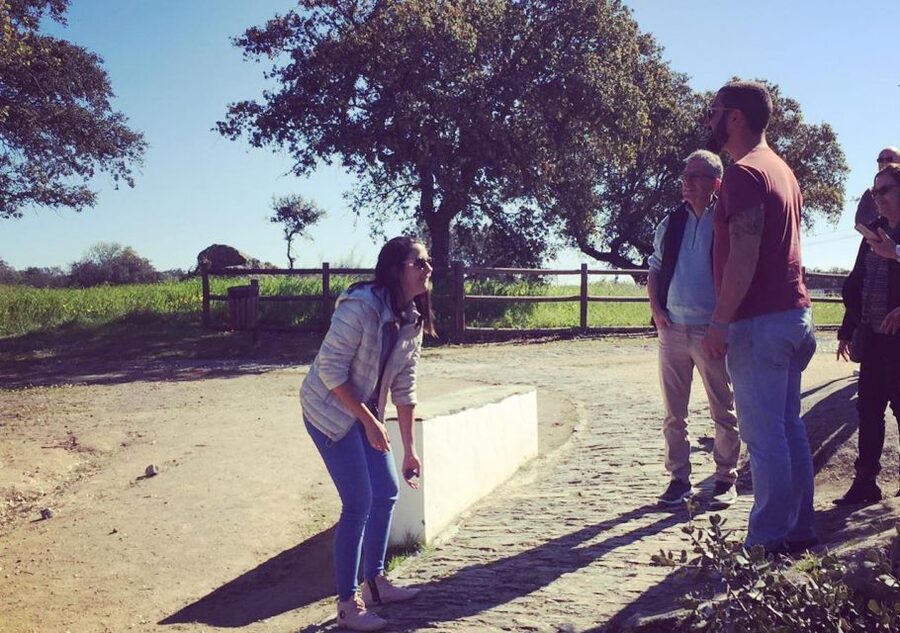 Monsaraz and Wine guided tour from Évora - Practical advice for making the most of it
