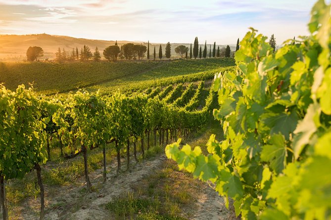 Montalcino: Brunello Wine Tasting Experience - A castle introduction to Brunello country