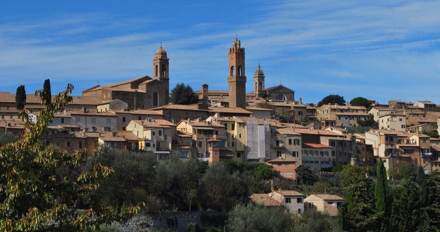 Montalcino: Brunello Wine Tasting Experience - Booking advice for a day in Montalcino