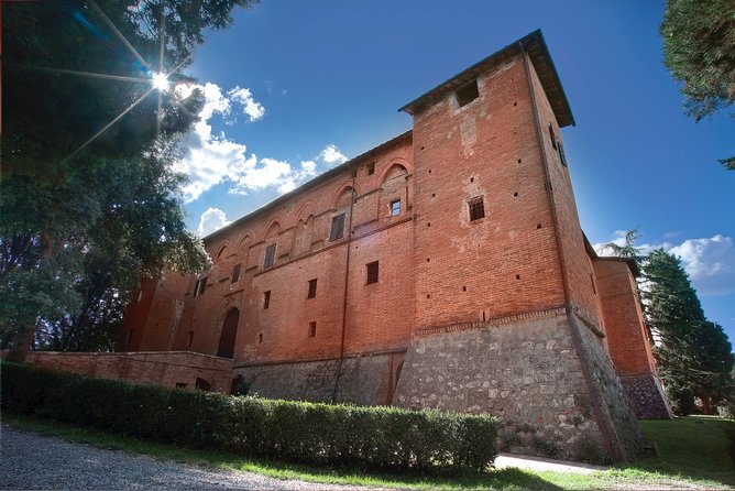 Montalcino: Brunello Wine Tasting Experience - What happens during the vineyard walk
