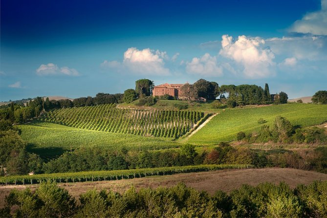 Montalcino: Brunello Wine Tasting & Lunch in a Tuscan Castle - The cellar and barrel room