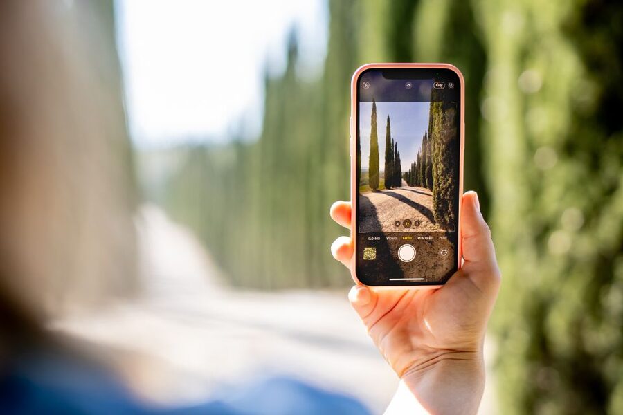Montalcino: Guided Winery Tour and Wine Tasting - Getting to the Cypress-Lined Entrance