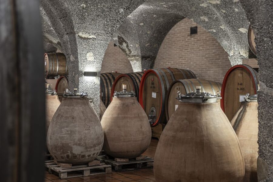 Montalcino: Guided Winery Tour & Gourmet Food Tasting - What the $94 price includes