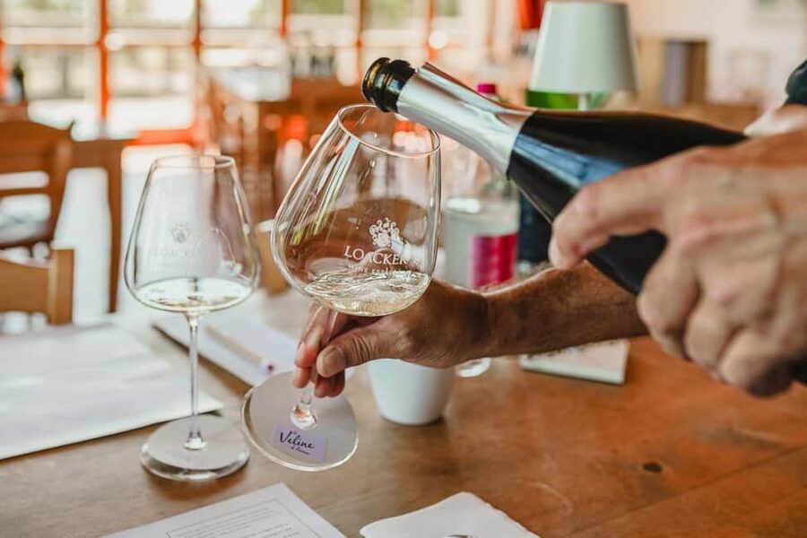 Montalcino: Guided Winery Tour & Gourmet Food Tasting - Who will enjoy this experience most