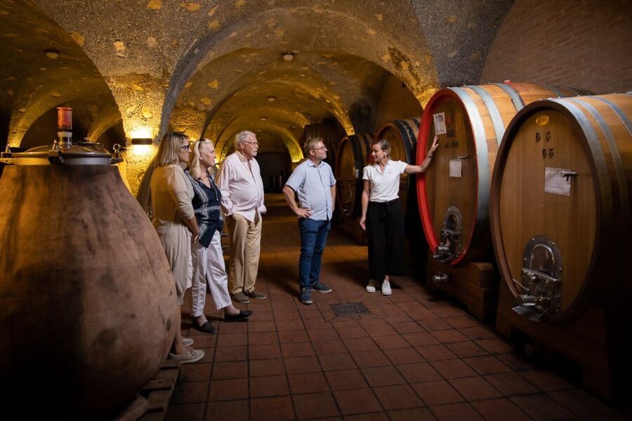 Montalcino: Guided Winery Tour & Gourmet Food Tasting - Practical details before you reserve